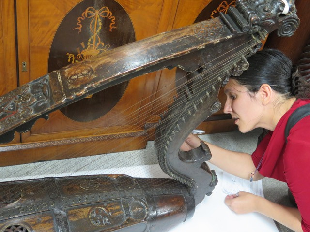 Woman examining and antique Irish harp on display
